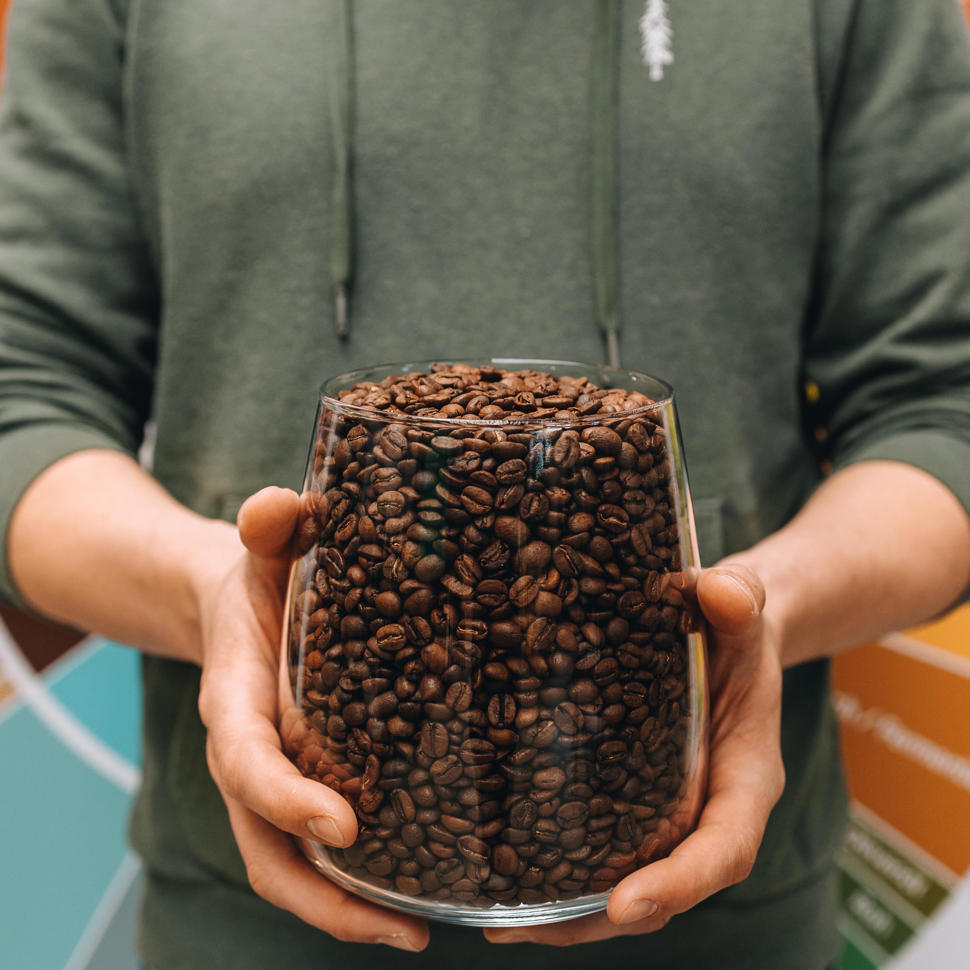 Rösters Liebling Gallerie 3