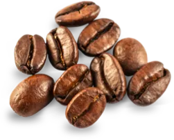 Mood Anmelden & Registrieren